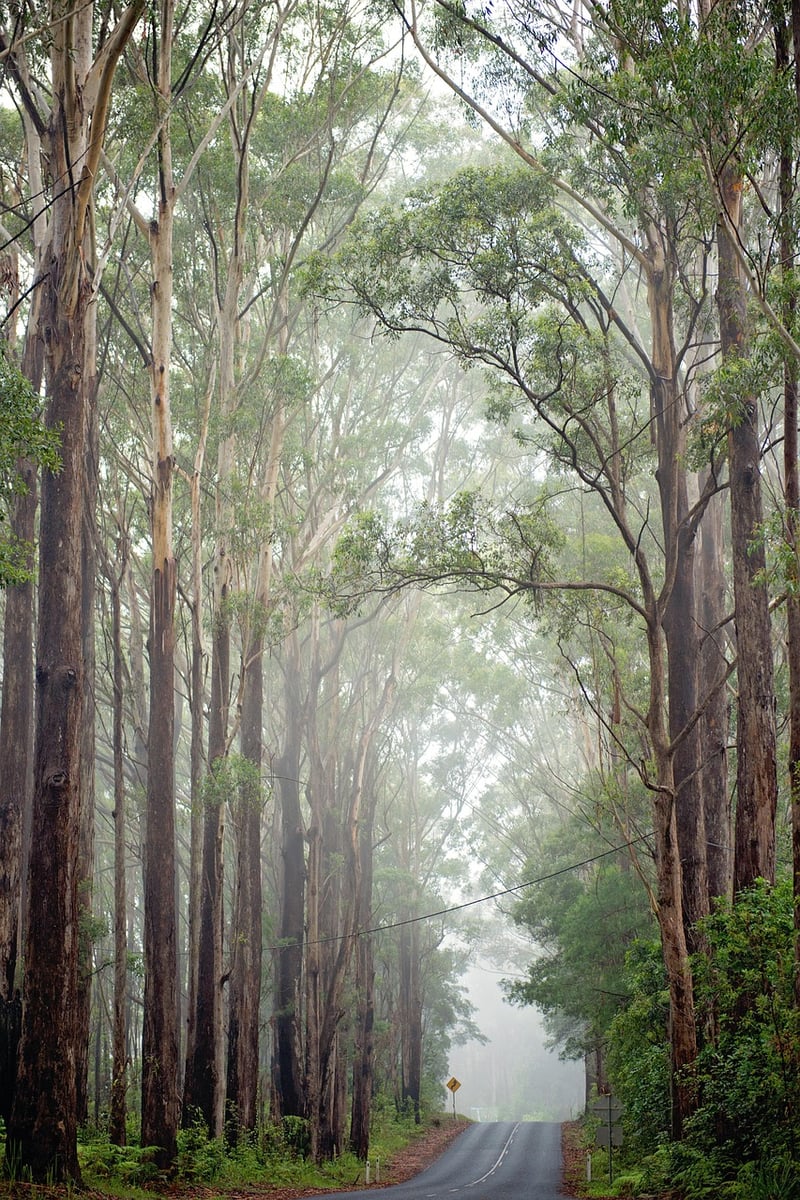 Adventure off the beaten path
